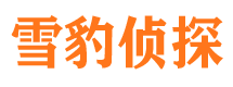 井研找人公司